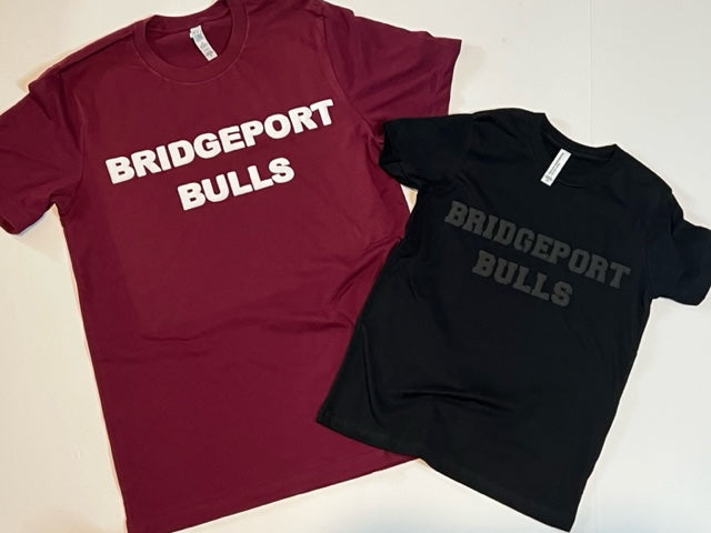 Bridgeport bulls spirt wear